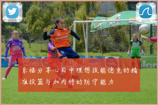 乐福分享心目中理想技能德克的精准投篮与加内特的防守能力